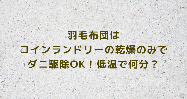 羽毛布団はコインランドリーの乾燥のみでダニ駆除OK！