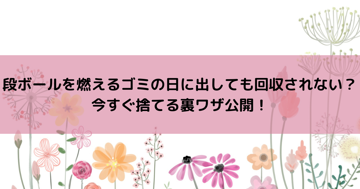 段ボールを燃えるゴミの日に出しても回収されない？今すぐ捨てる裏ワザ公開！