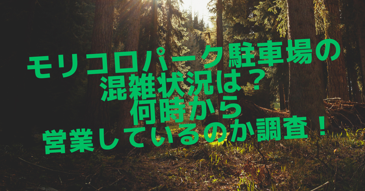 モリコロパーク駐車場の混雑状況は？何時から営業しているのか調査！