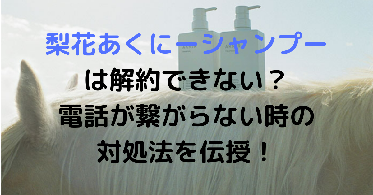 梨花あくにーシャンプーは解約できない？電話が繋がらない時の対処法を伝授！