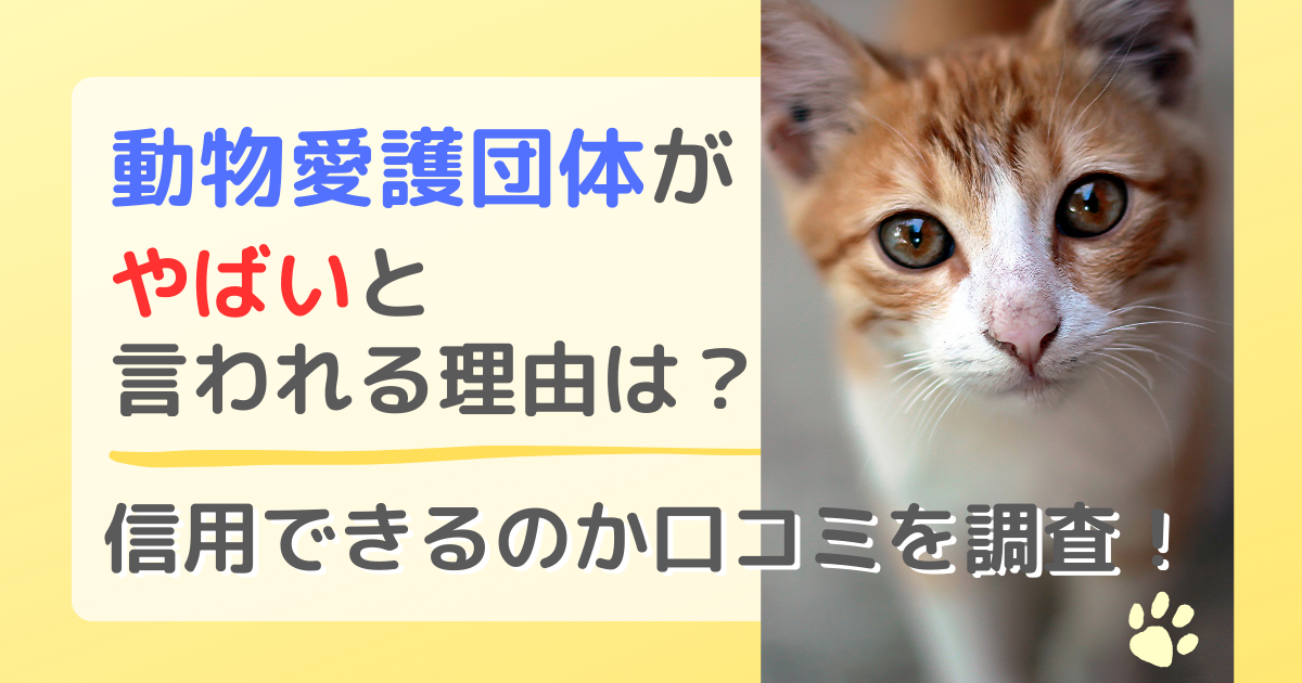動物愛護団体がやばいと言われる理由は？