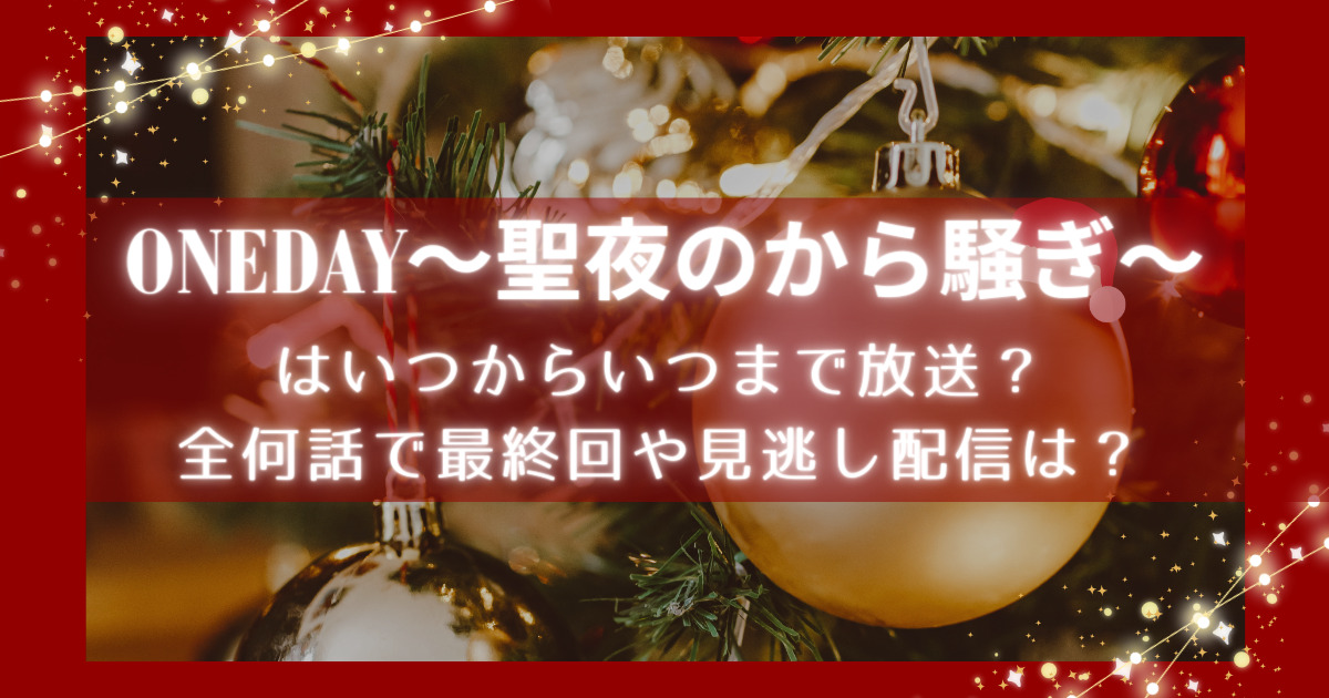 ONEDAY聖夜のから騒ぎはいつからいつまで放送？全何話で最終回や見逃し配信は？