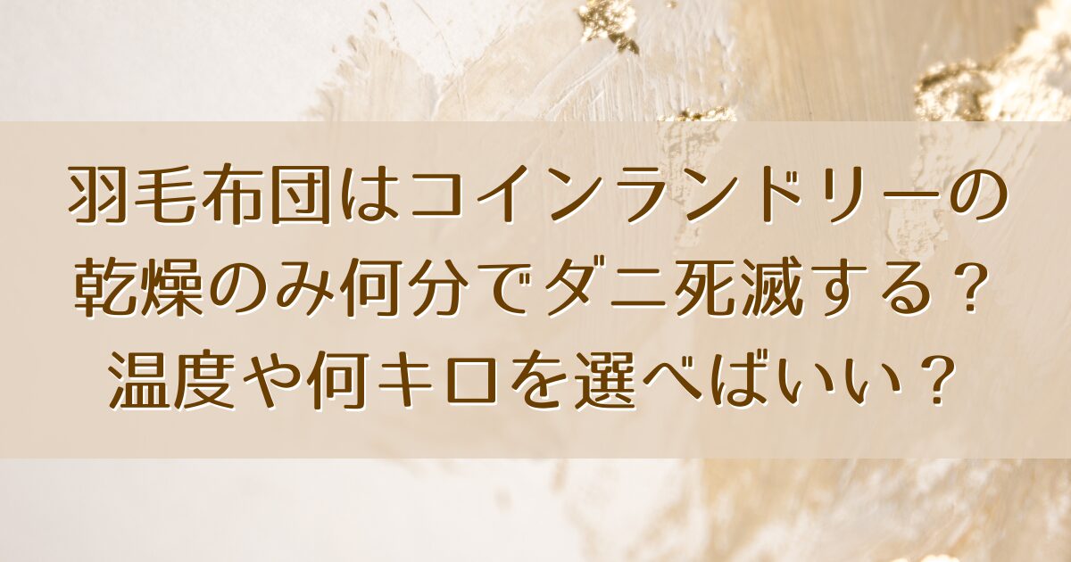 羽毛布団はコインランドリーの乾燥のみ何分でダニ死滅する？温度や何キロを選べばいい？