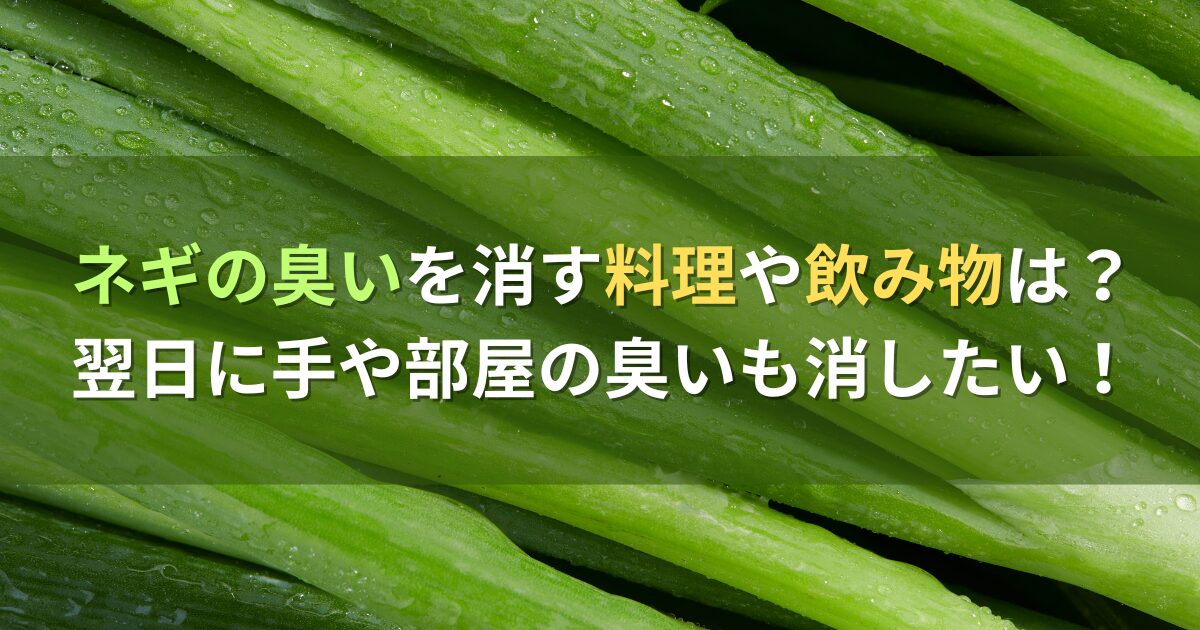 ネギの臭いを消す料理や飲み物は？翌日に手や部屋の臭いも消したい！