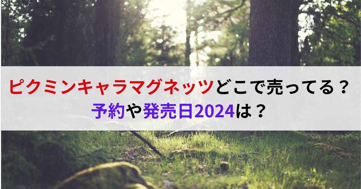 ピクミンキャラマグネッツどこで売ってる？予約や発売日2024は？