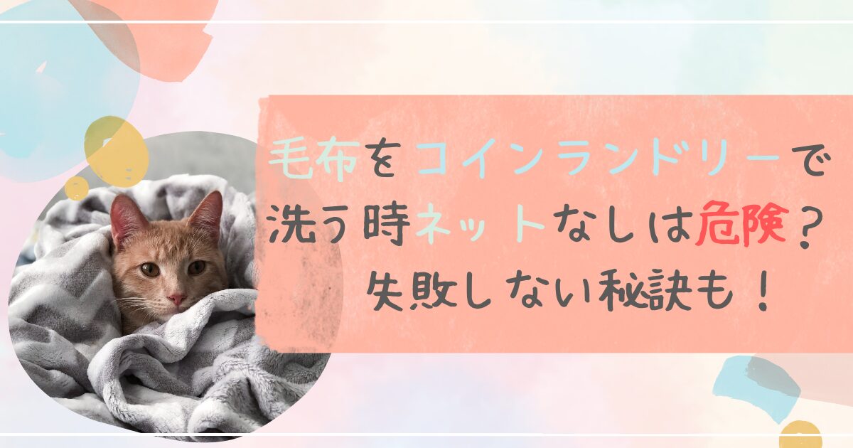 毛布をコインランドリーで洗う時ネットなしは危険？